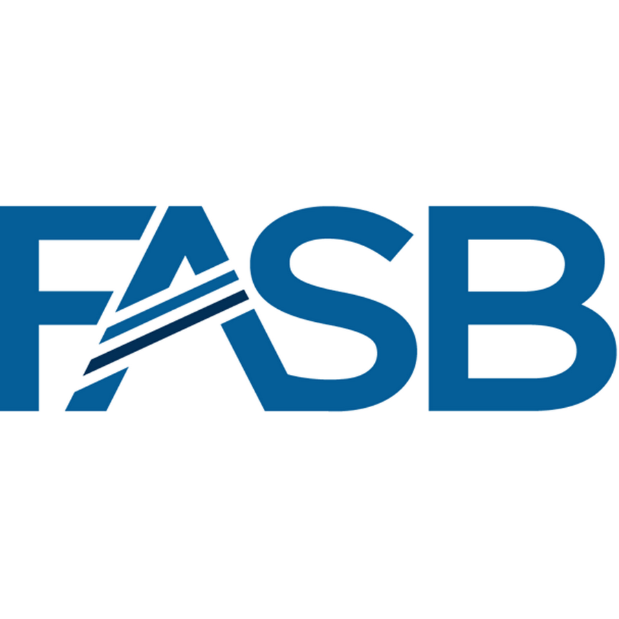 FASB Changes Mark-to-Market Accounting Rules